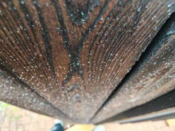 Detailed view of textured