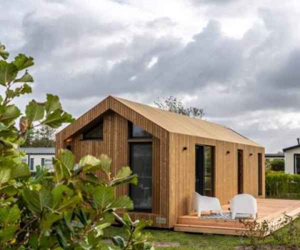 Thermo Sosna rhombus