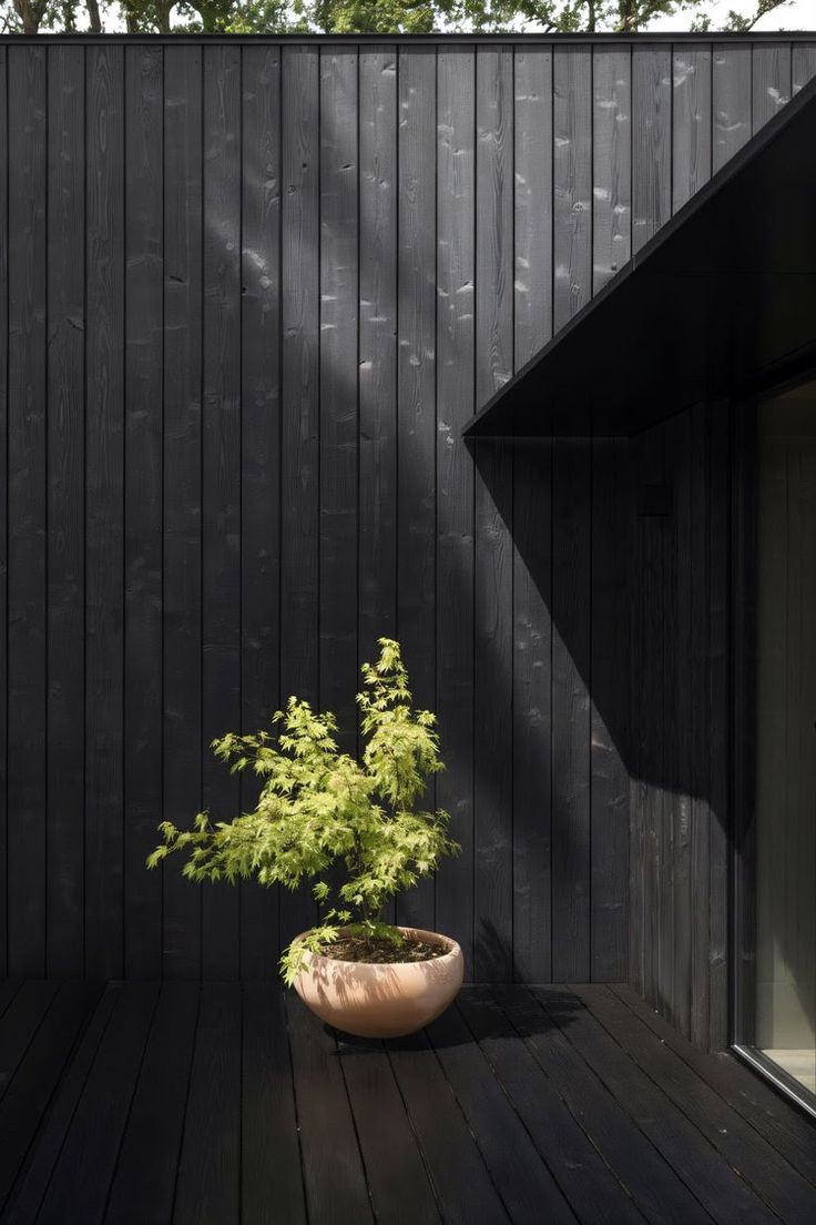 Black vertical shadow gap timber cladding on UK residential extension — contemporary facade design