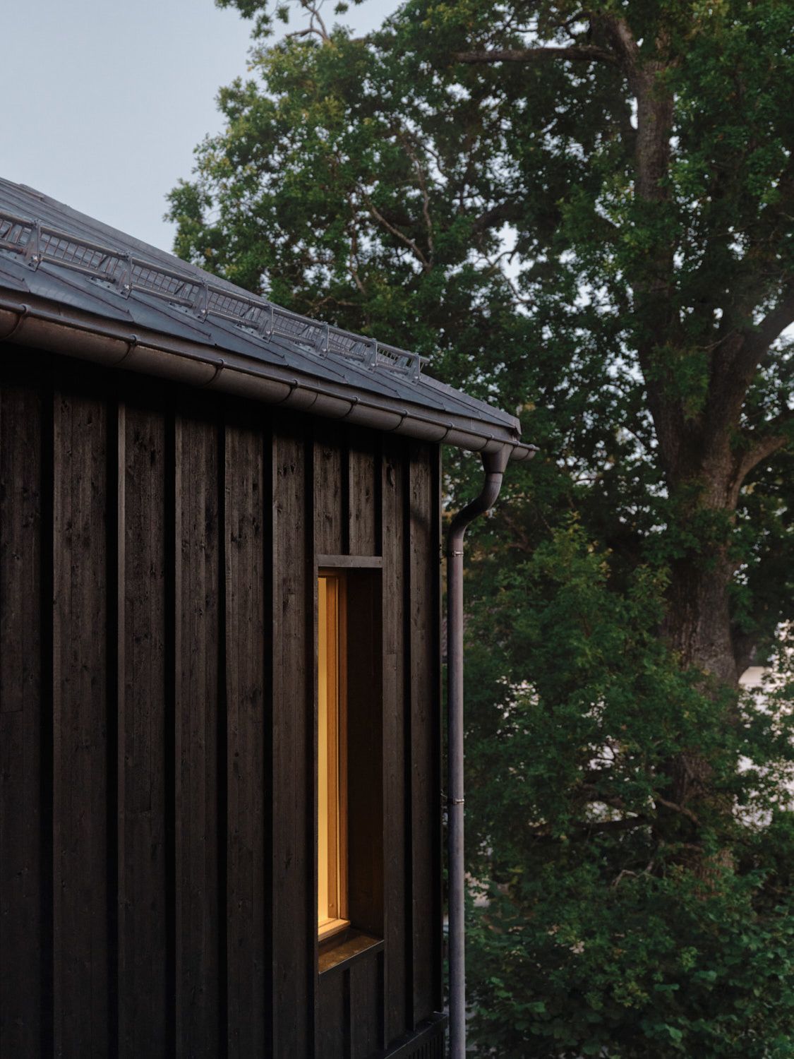 Compare charred timber and painted timber cladding in the UK. Learn which lasts longer, maintenance cycles, lifecycle costs and the best option for modern homes.