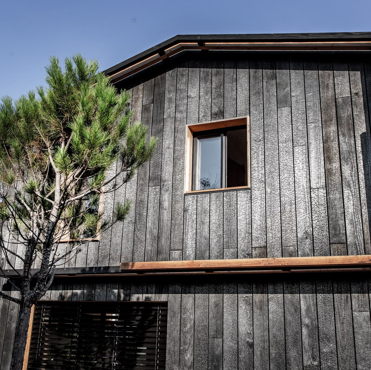 Modern timber clad house extension with large sliding doors