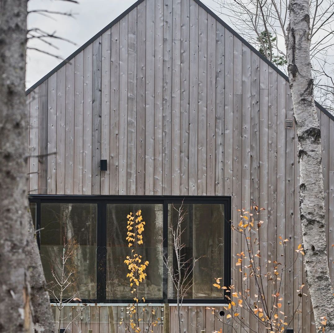 Naturally weathered timber cladding turning silver grey over time UK exterior facade