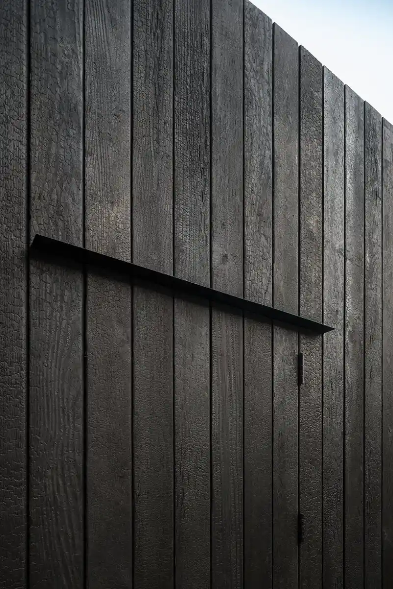 Deep charred timber cladding close-up — carbonised surface texture and depth of natural wood