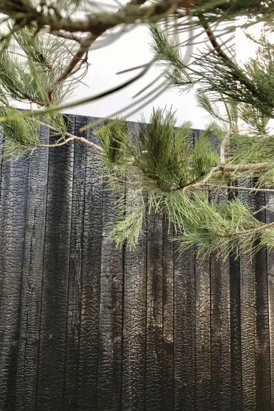 Deep charred timber fencing panels UK — bold black cracked carbonised surface