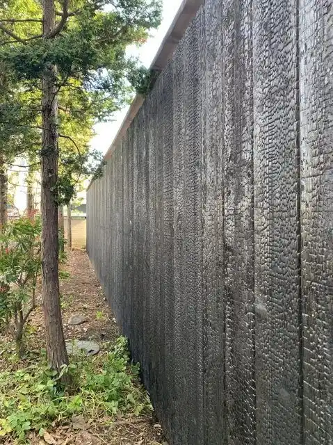 Shou Sugi Ban charred timber fencing UK — deep black charred fence boards in garden setting