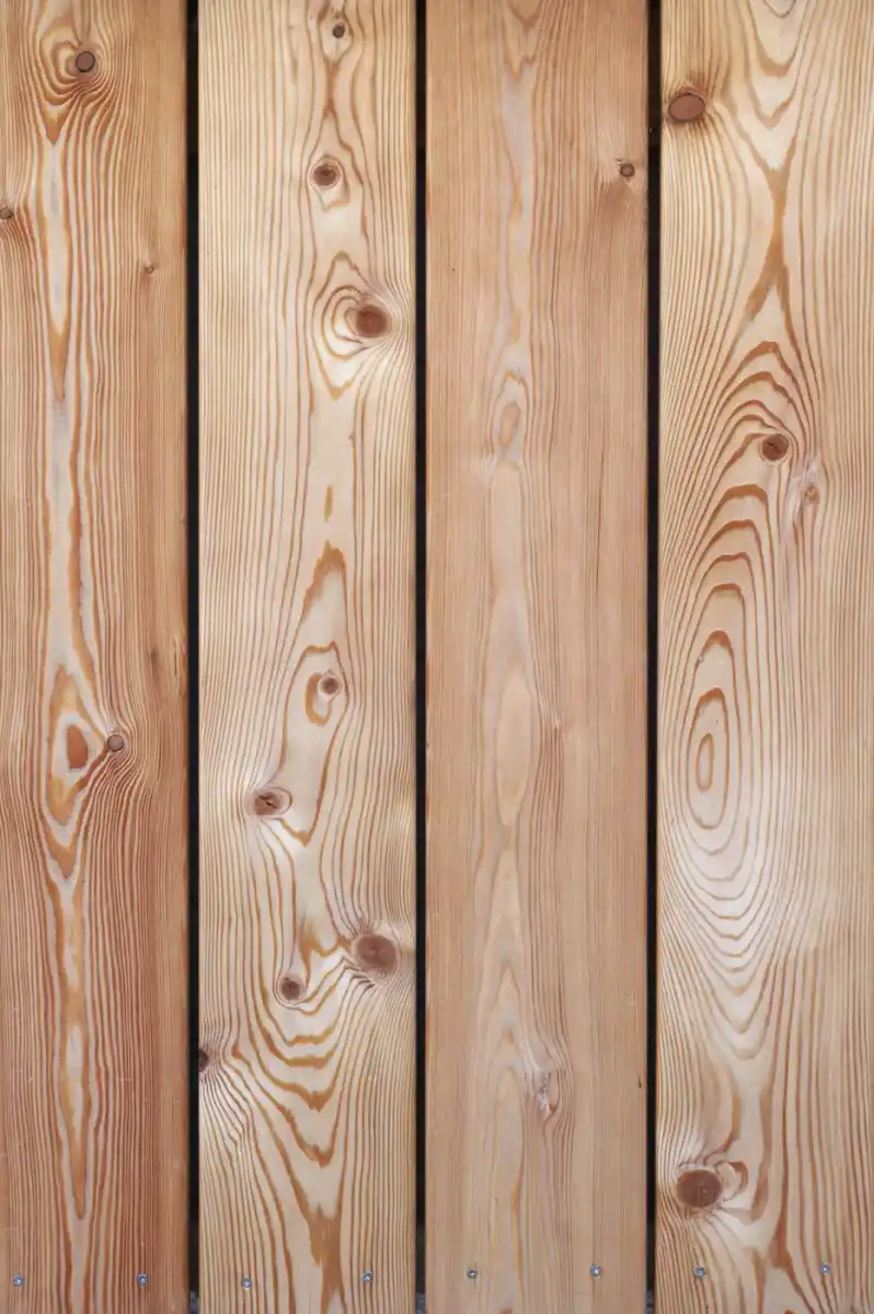 Siberian larch cladding close-up — pale golden-yellow grain with tight annual rings and consistent knot structure