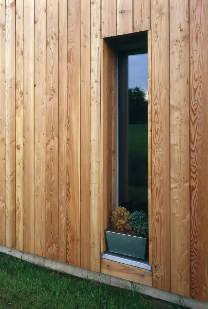 Siberian larch shiplap cladding on UK garden building — horizontal profile exterior finish
