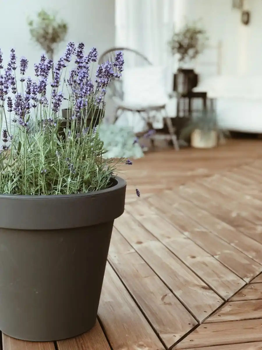 ThermoWood decking close up UK — surface texture and grain detail of thermally modified pine