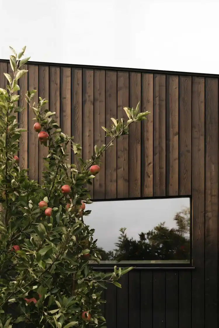 ThermoWood pine cladding on contemporary UK house — thermally modified timber exterior facade